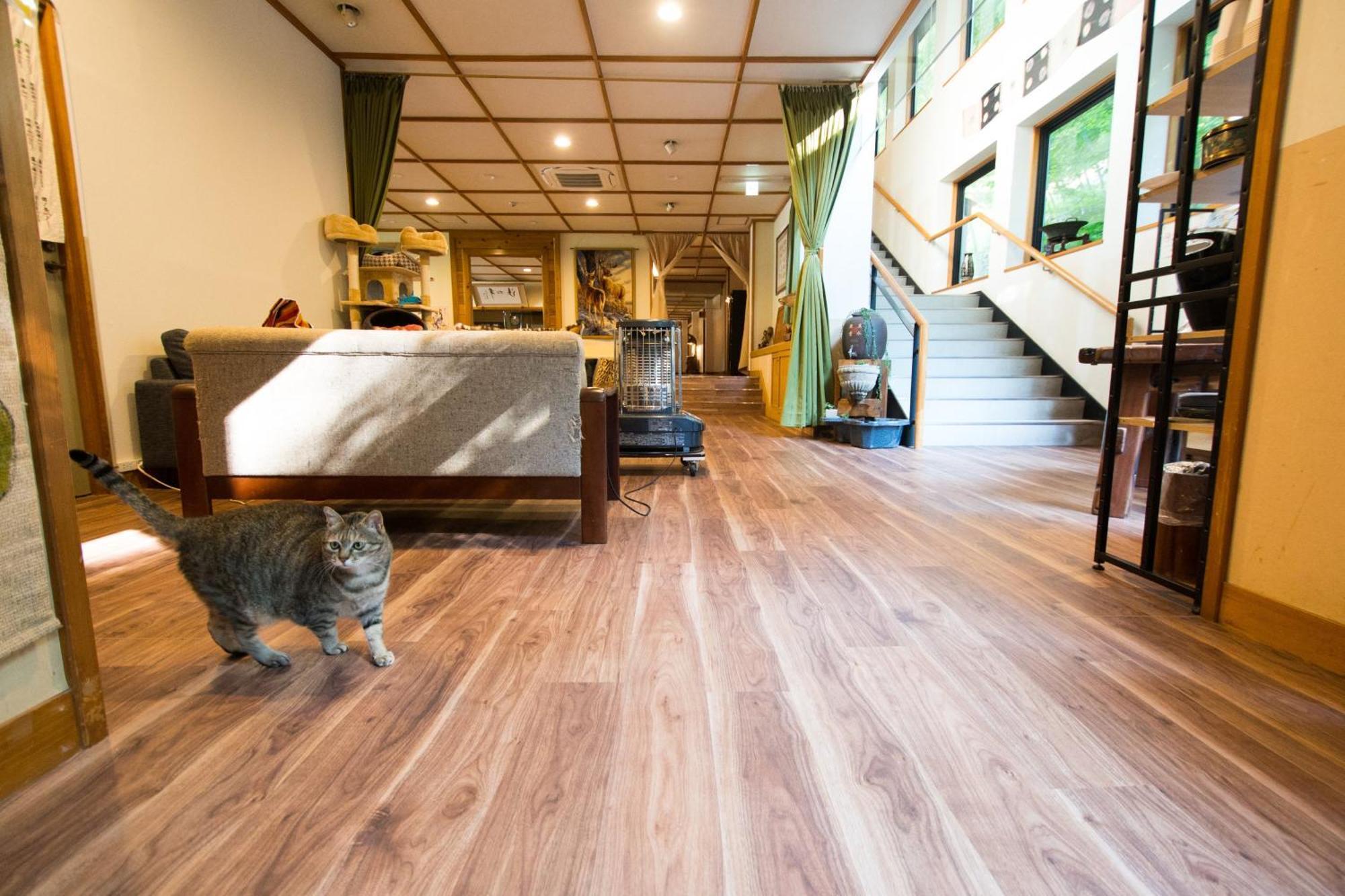 Akasawa Onsen Ryokan Насушиобара Екстериор снимка