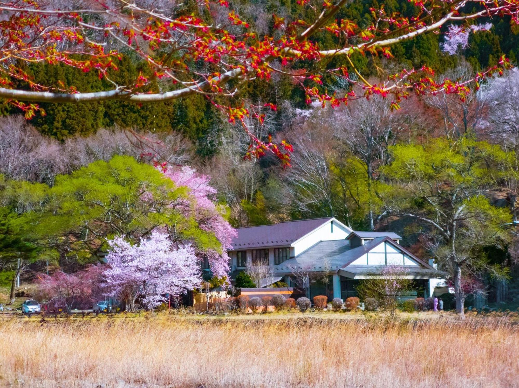 Akasawa Onsen Ryokan Насушиобара Екстериор снимка